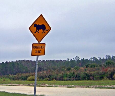 panther crossing sign posted on a florida highwayの写真素材