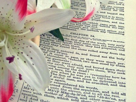 holy bible opened to the resurrection of christの写真素材