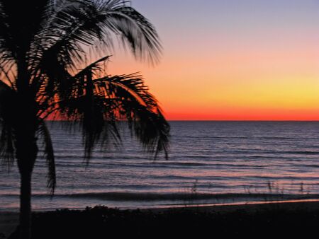 sunset over the ocean, tropical palms silhouettes. Sanibel Island Floridaの写真素材