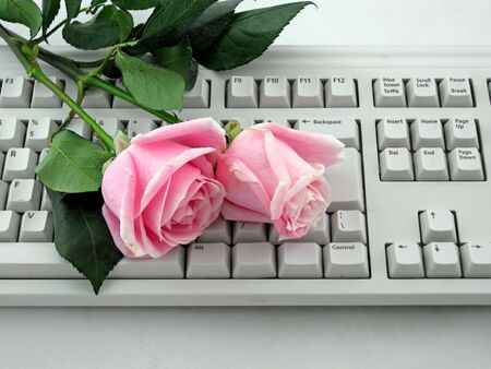 two pink roses on a computer keyboardの写真素材
