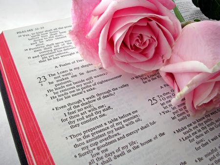 opened bible and pink roses book of Psalmsの写真素材