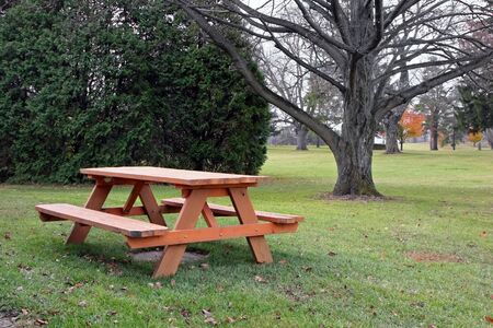 picnic table in autumn park with trees