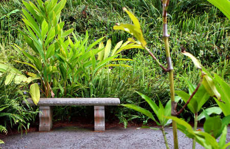 Beautiful Kula Botanical Garden Kula Maui Hawaiiの写真素材