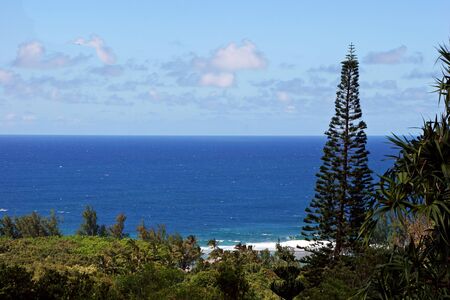 Ocean Overlook ; Limahuli National Tropical Botanical Gardens Kauai Hawaii