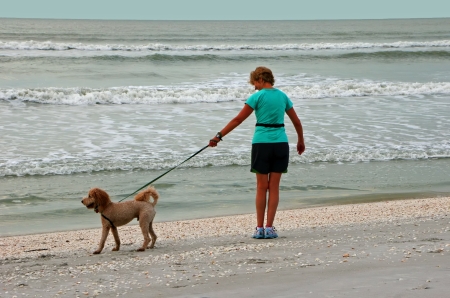 Woman Walking Dog on Beach Sanibel Island Floridaの写真素材