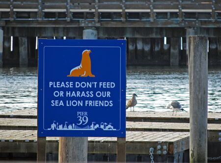 Sea Lions Pier 39 San Francisco California Notice Signの写真素材