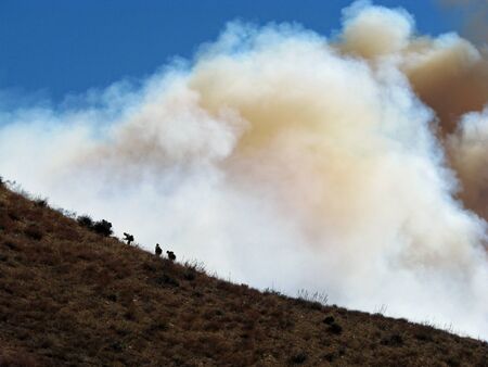SAN BERNARDINO CALIFORNIA  NOVEMBER 05: San Bernardino County California Devore Brush Fire 2012
