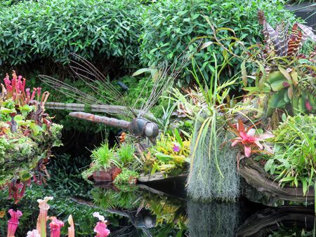 SINGAPORE ASIA - NOVEMBER 22: Cloud Forest Attraction Gardens by the Bay nature park November 22, 2014 in Singapore Bay Marina, Asiaのeditorial素材