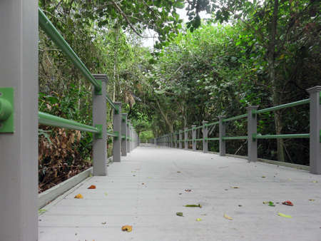 Bailey Homestead Preserve Trail Memorial Boardwalk Sanibel Florida