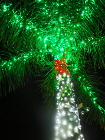 Christmas Holiday Sparkling Lights of Sanibel Floridaの写真素材