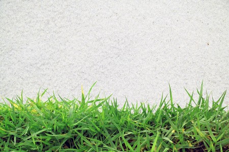 green grass and white sand の写真素材