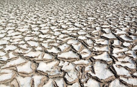 Dry soil with crack 