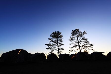 silhouette of tent and tree の写真素材