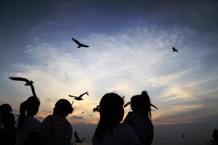 Families with small children are watching birds flyの写真素材