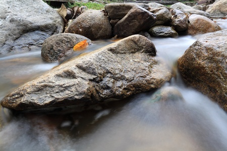 Stream flowing in motion の写真素材