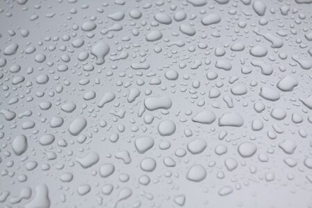 water dropsの写真素材