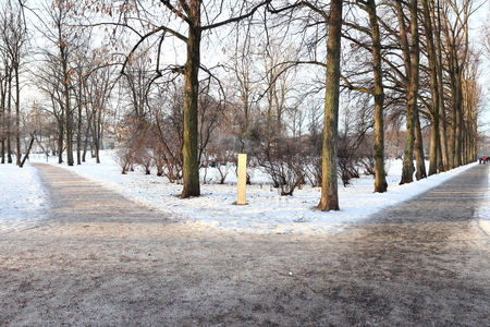 Snowy walkway through winter forestの写真素材