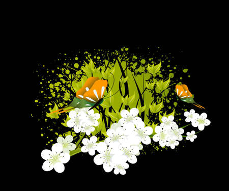 apricot and Cherries blossoms Illustration.のイラスト素材