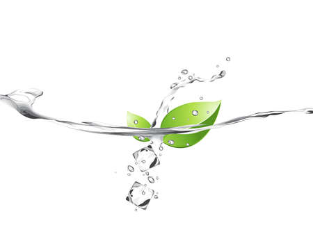 Illustration of green leaves in water のイラスト素材