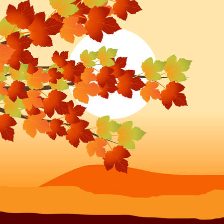 Colorful background of fallen autumn leaves のイラスト素材