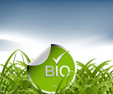 Green Grass and BIO label,  environmetal concept.のイラスト素材