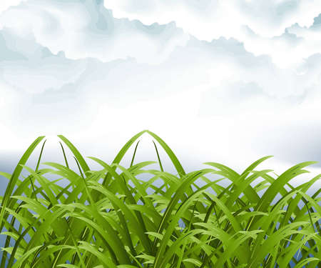 Green grassland and storm cloud , nature view .のイラスト素材