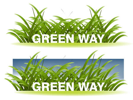 Green Grass and pure sky background, spring season.のイラスト素材