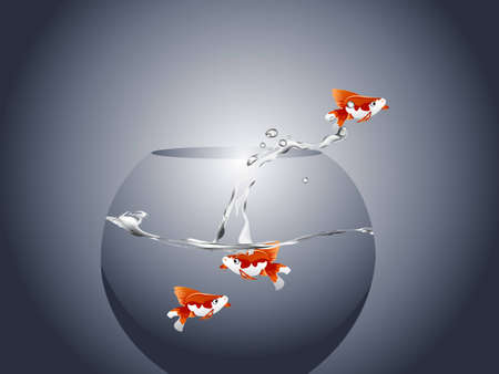  illustration of Golden fishのイラスト素材