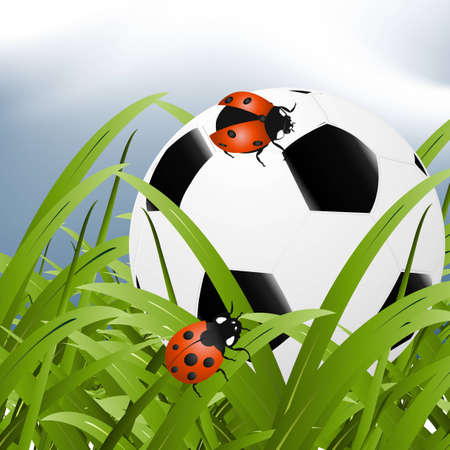ball between grass and two ladybugs around it.のイラスト素材