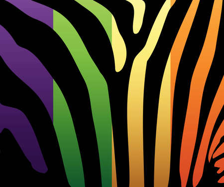 Illustration of colored zebra stripes. Also in vector format.のイラスト素材