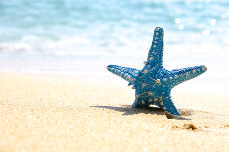 Starfish and Wave water sea blue amazing on islands in the worldの写真素材