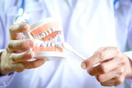 hands of a dentist, he is demonstrating how to brush your teeth properly. To clean the teeth and...