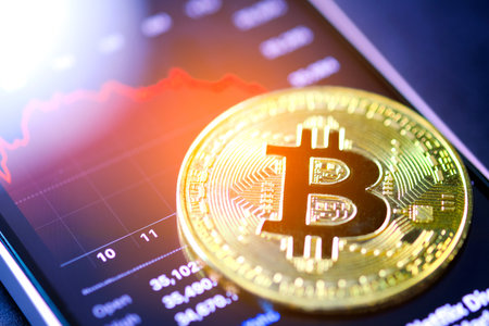Bitcoin Stock Growth and Cryptocurrency Market Trends investing in digital assets and the chart...