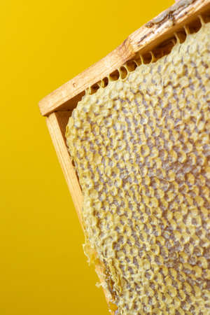 Frames of honeycombs. Fresh honey. Natural organic bee product. Healthy lifestyle. Close-up photo.