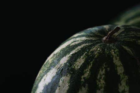 Watermelon with waterdrops on black background. Macro studio photo. Summer berryの写真素材