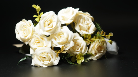 White rose swingの写真素材