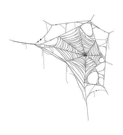 Cartoon Halloween tangled cobweb, spiderweb texture. Fall season party spooky sticky net, autumn holiday tangled old cobweb vector decoration. Horror celebration stretching spiderweb decor elementのイラスト素材