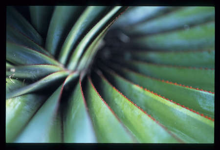 Arrayの写真素材