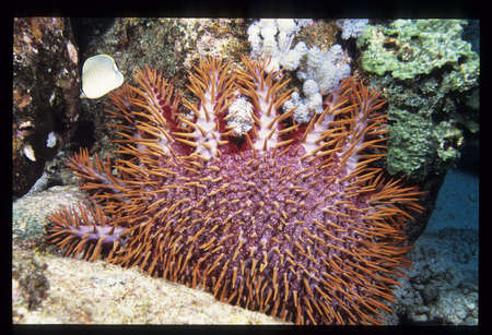 Arrayの写真素材