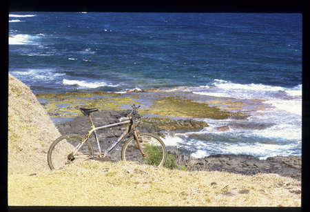 Arrayの写真素材