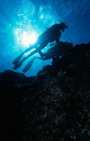 Scuba divers on a coral Reefの写真素材