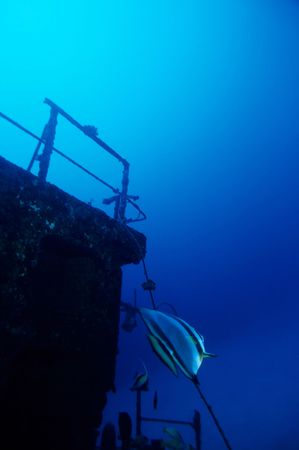 Adventure Diving on a sunken Ship wreckの写真素材