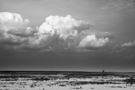 Biebrza swampsの写真素材