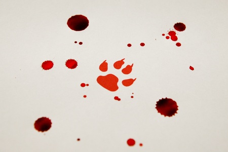 Fake bloody paw traceの写真素材