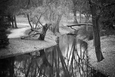 A pond with the trees in Warsaw Lazienki park