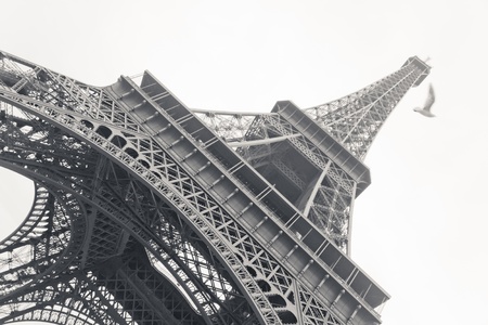 Black and white photo of Eiffel Tower