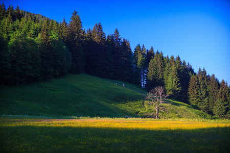 Sun and shadow in the mountain valleyの写真素材
