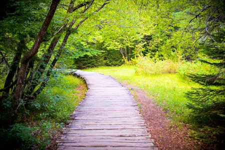 Plitvice lakes park, Croatiaの写真素材