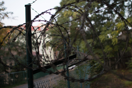 fence of a jailの写真素材