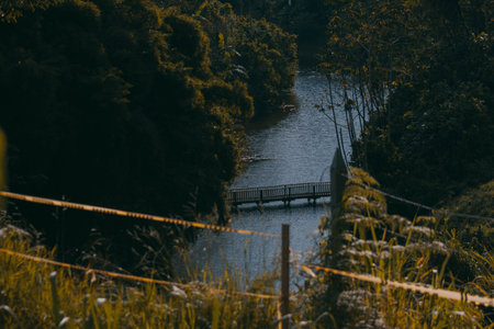 A wooden bridge over a river in the forest. Select focus.